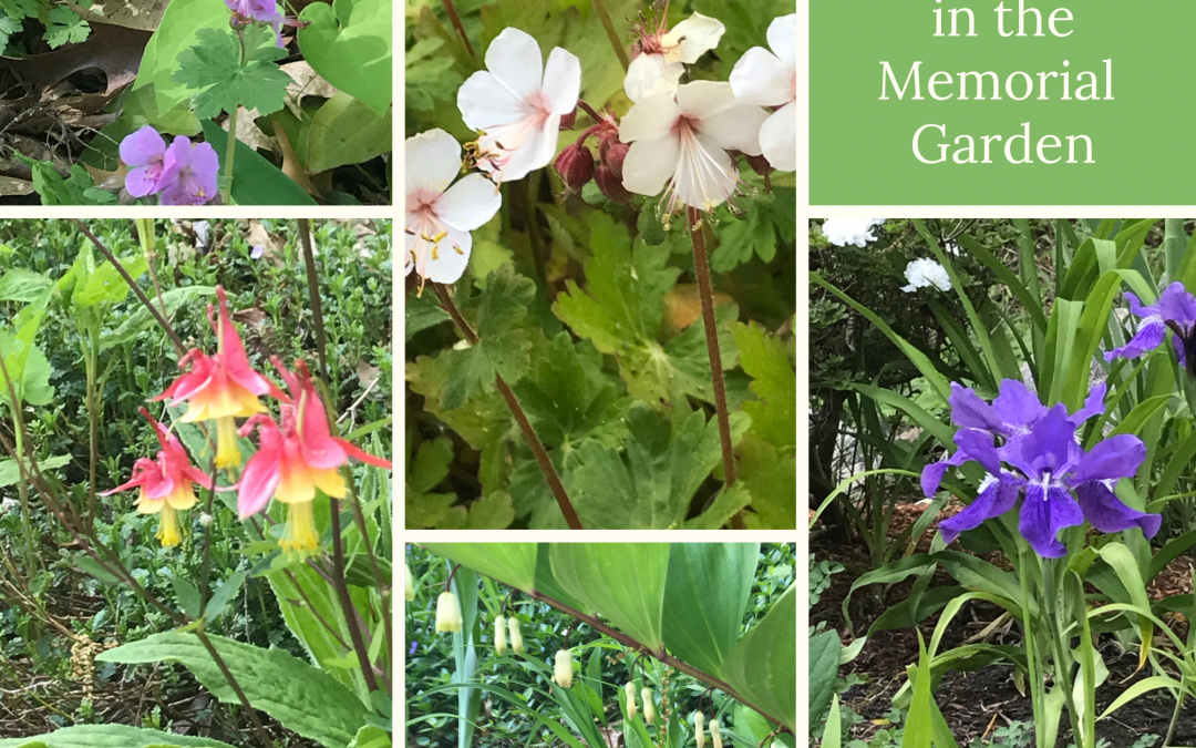 Memorial Gardening