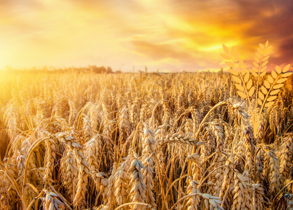 Lughnasadh