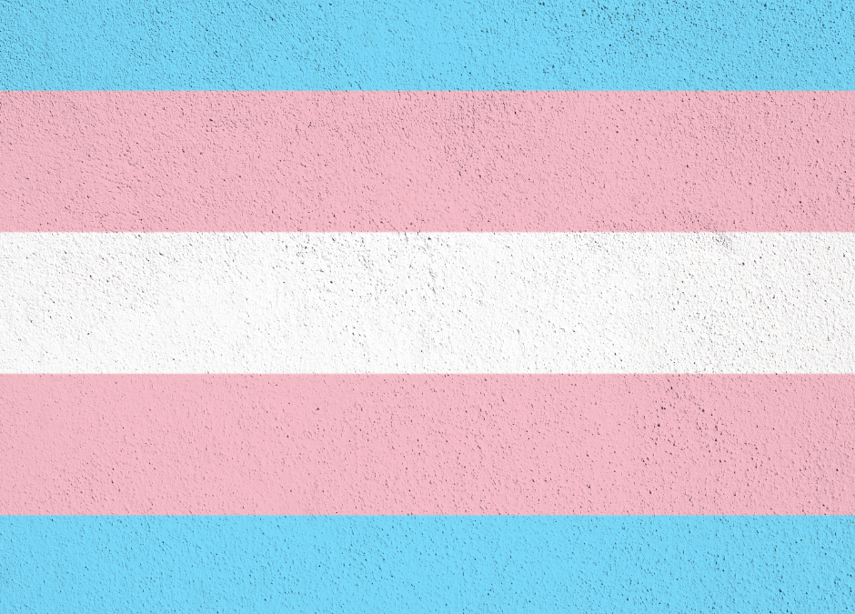 Supporting the Trans Community & Our Democracy