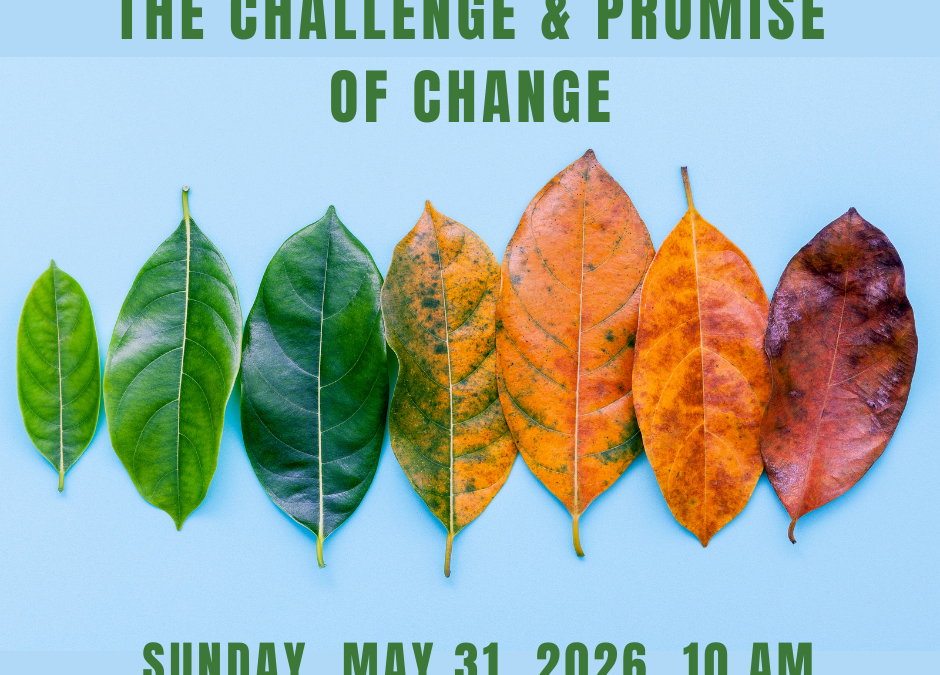 The Challenge & Promise of Change
