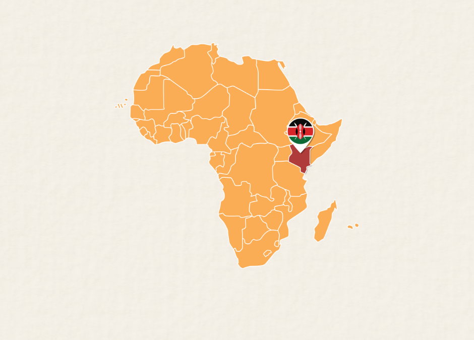 Our Excellent African Adventure
